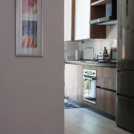 Capo Di Lucca - In The Historical Center With Terrace アパート